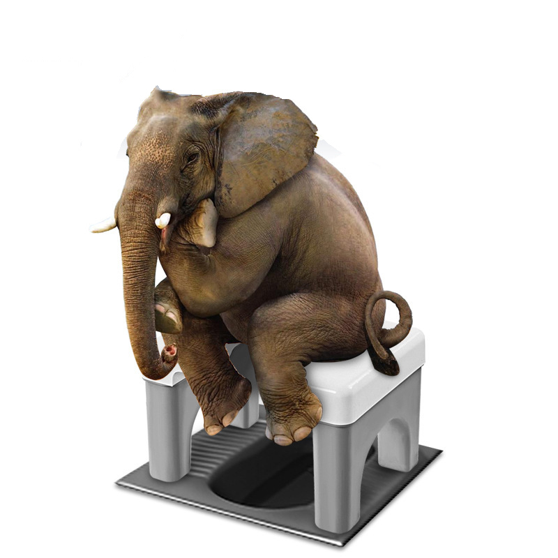 Squatting Toilet Stool Chair N – Home Improvement Mall Bewertung und Preis